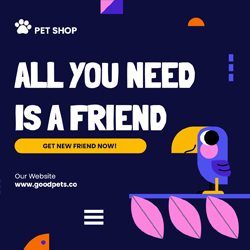 All you need is a friend