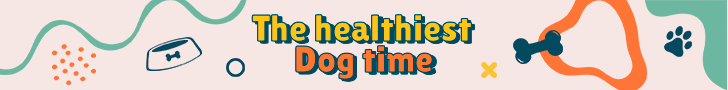 The Healthiest Dog Time
